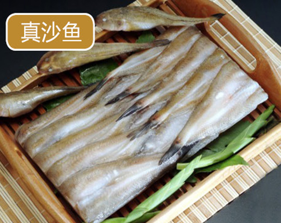 真沙魚(yú)